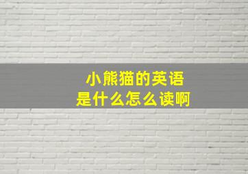 小熊猫的英语是什么怎么读啊