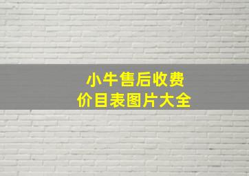 小牛售后收费价目表图片大全