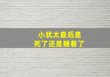 小犹太最后是死了还是睡着了