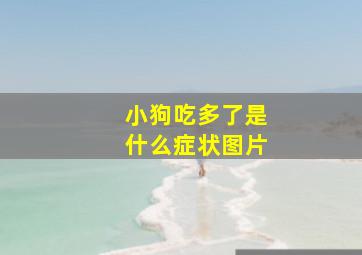 小狗吃多了是什么症状图片