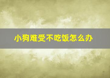 小狗难受不吃饭怎么办