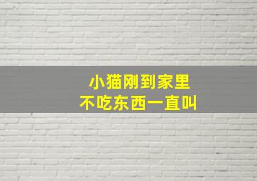 小猫刚到家里不吃东西一直叫