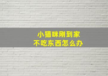 小猫咪刚到家不吃东西怎么办