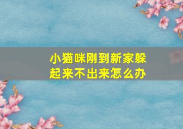 小猫咪刚到新家躲起来不出来怎么办