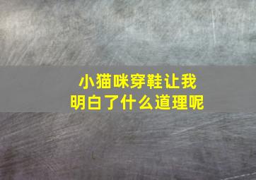 小猫咪穿鞋让我明白了什么道理呢