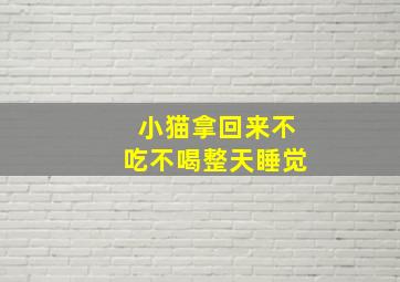 小猫拿回来不吃不喝整天睡觉