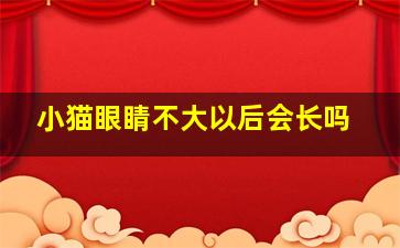 小猫眼睛不大以后会长吗