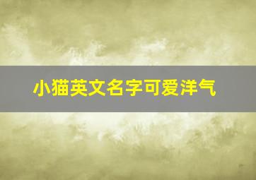 小猫英文名字可爱洋气