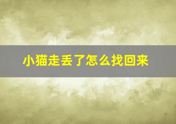 小猫走丢了怎么找回来