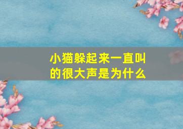 小猫躲起来一直叫的很大声是为什么