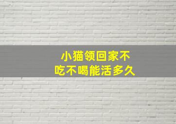 小猫领回家不吃不喝能活多久