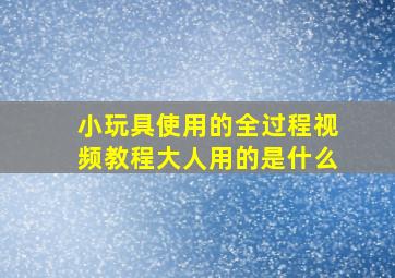 小玩具使用的全过程视频教程大人用的是什么