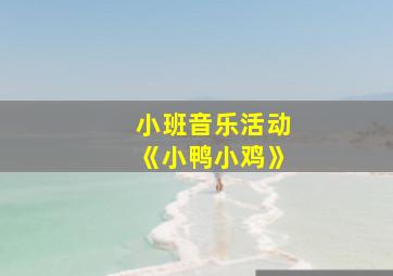 小班音乐活动《小鸭小鸡》