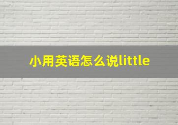 小用英语怎么说little