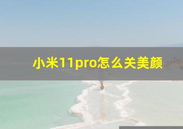 小米11pro怎么关美颜