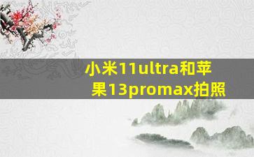 小米11ultra和苹果13promax拍照