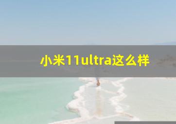 小米11ultra这么样