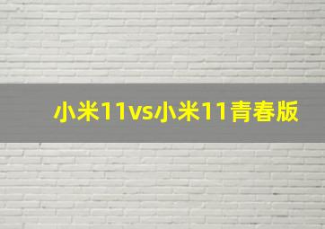 小米11vs小米11青春版