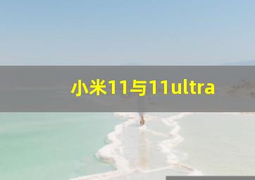 小米11与11ultra