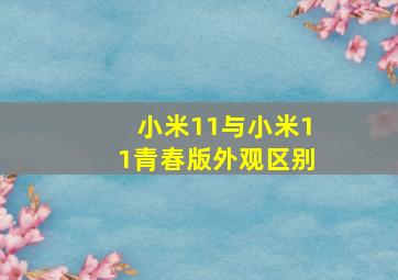 小米11与小米11青春版外观区别