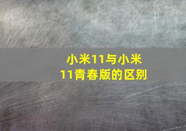 小米11与小米11青春版的区别