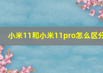 小米11和小米11pro怎么区分