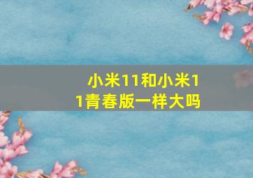 小米11和小米11青春版一样大吗