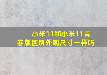 小米11和小米11青春版区别外观尺寸一样吗