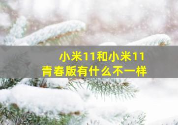 小米11和小米11青春版有什么不一样