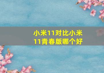 小米11对比小米11青春版哪个好