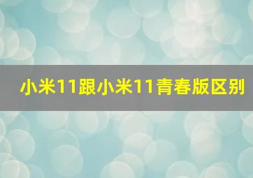 小米11跟小米11青春版区别