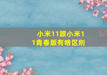 小米11跟小米11青春版有啥区别