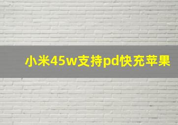 小米45w支持pd快充苹果