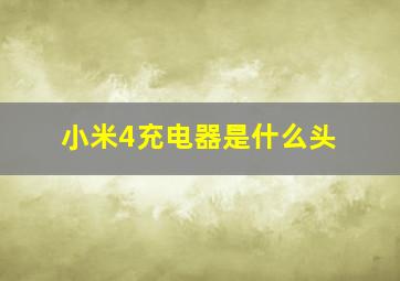 小米4充电器是什么头