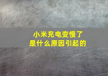 小米充电变慢了是什么原因引起的