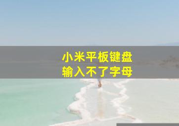 小米平板键盘输入不了字母