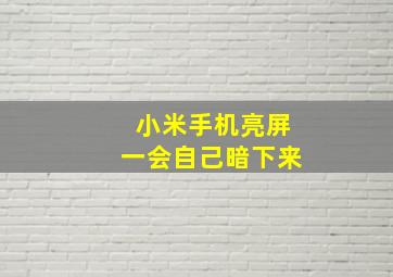 小米手机亮屏一会自己暗下来