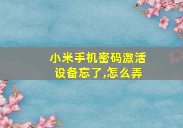 小米手机密码激活设备忘了,怎么弄