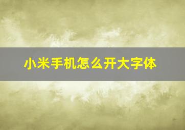 小米手机怎么开大字体