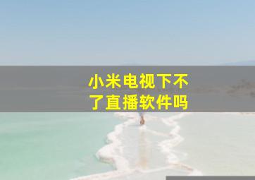 小米电视下不了直播软件吗