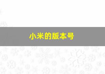 小米的版本号