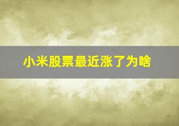 小米股票最近涨了为啥