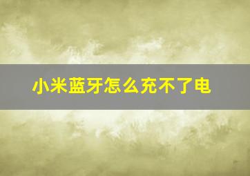 小米蓝牙怎么充不了电