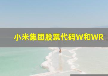 小米集团股票代码W和WR