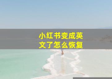 小红书变成英文了怎么恢复