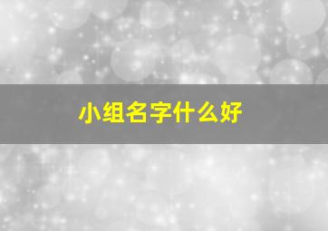 小组名字什么好