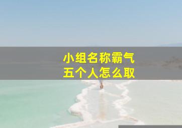 小组名称霸气五个人怎么取