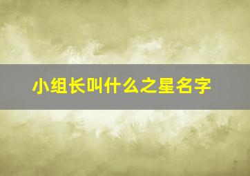 小组长叫什么之星名字