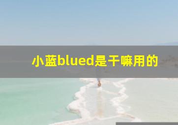 小蓝blued是干嘛用的