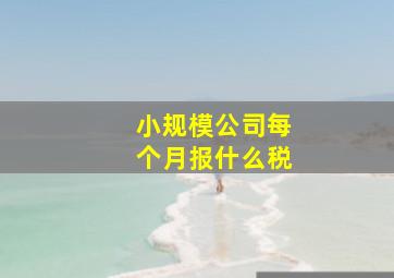 小规模公司每个月报什么税